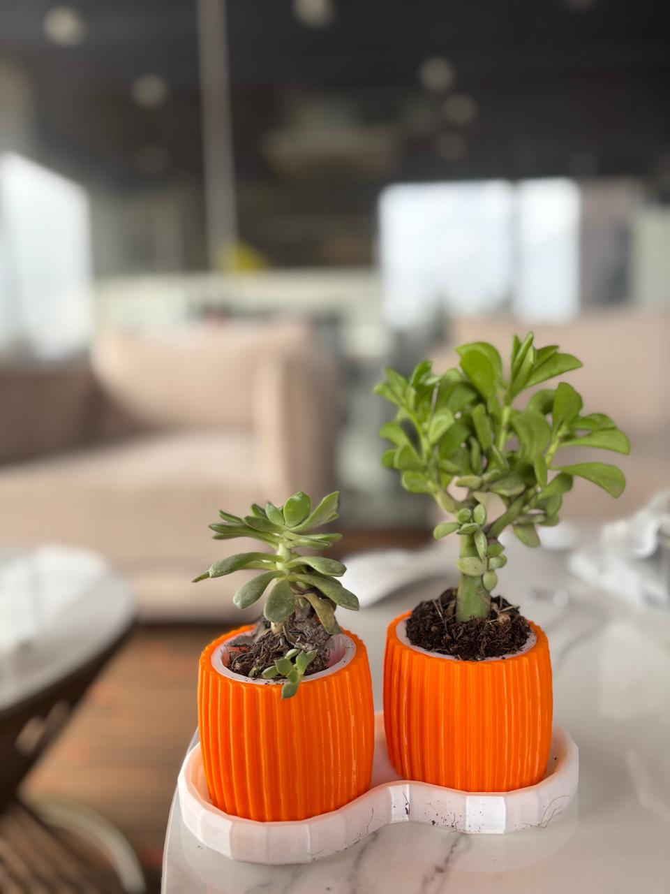DuoBloom Planter Set – 3D Printed Twin Orange Pots with Base