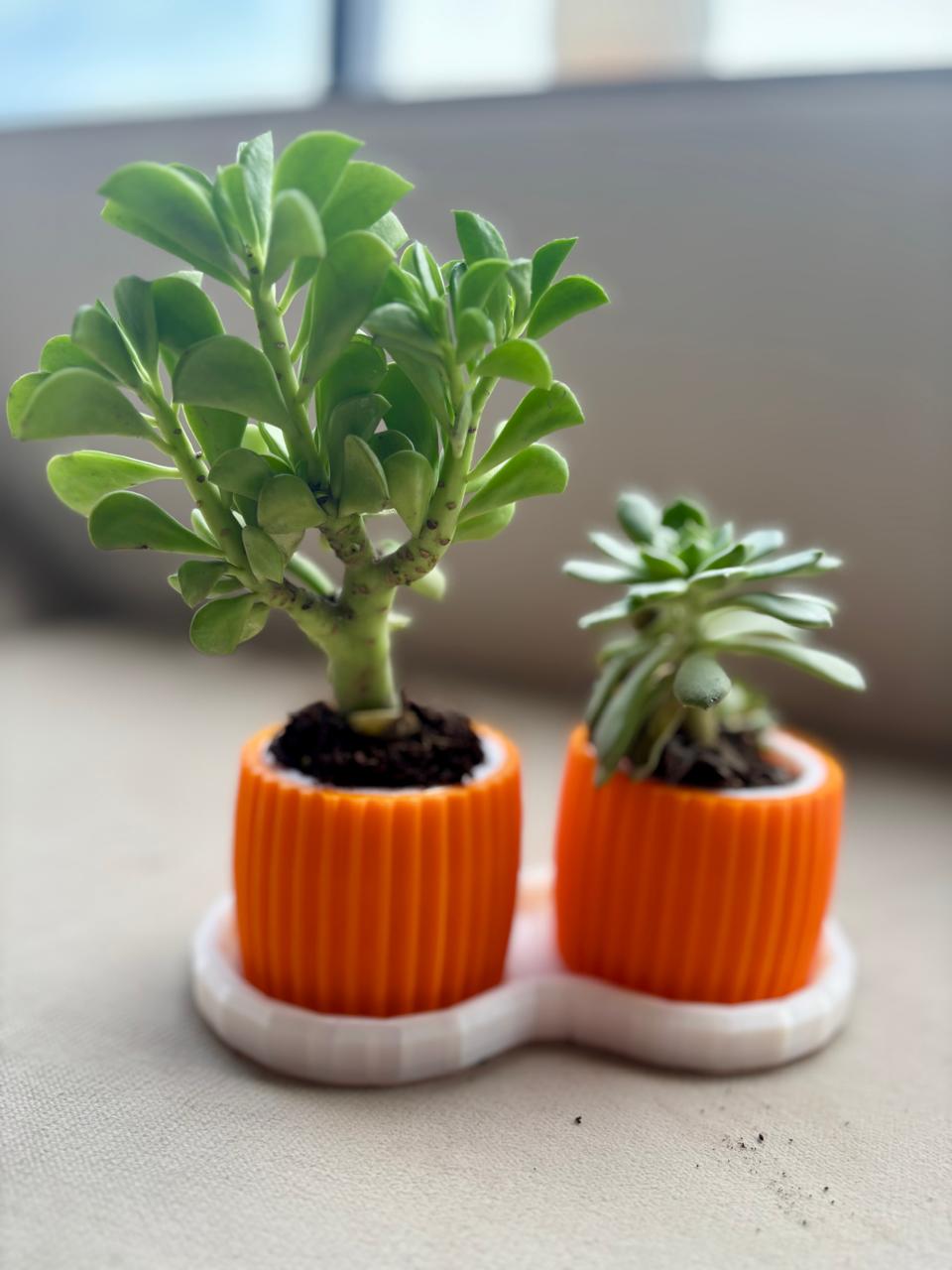 DuoBloom Planter Set – 3D Printed Twin Orange Pots with Base