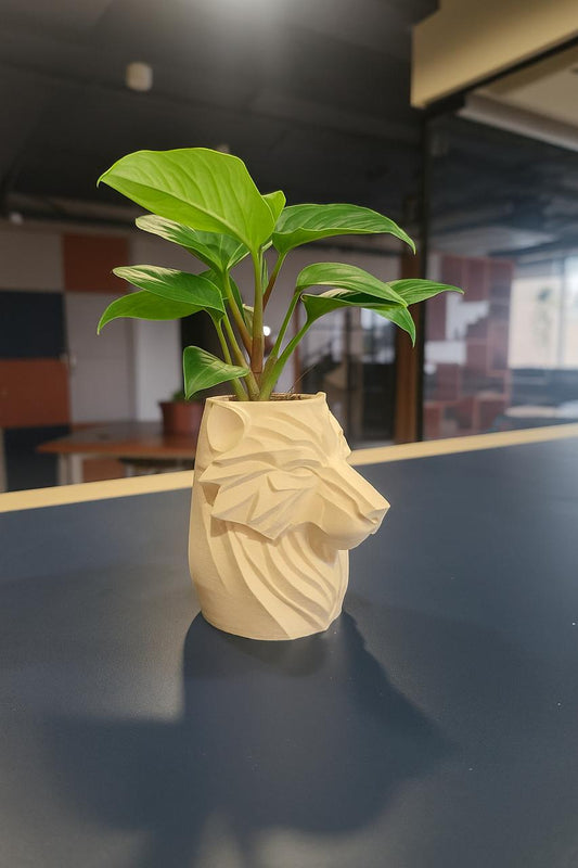 3D Printed Bear Pot – Modern Animal Planter for Desk & Home Decor