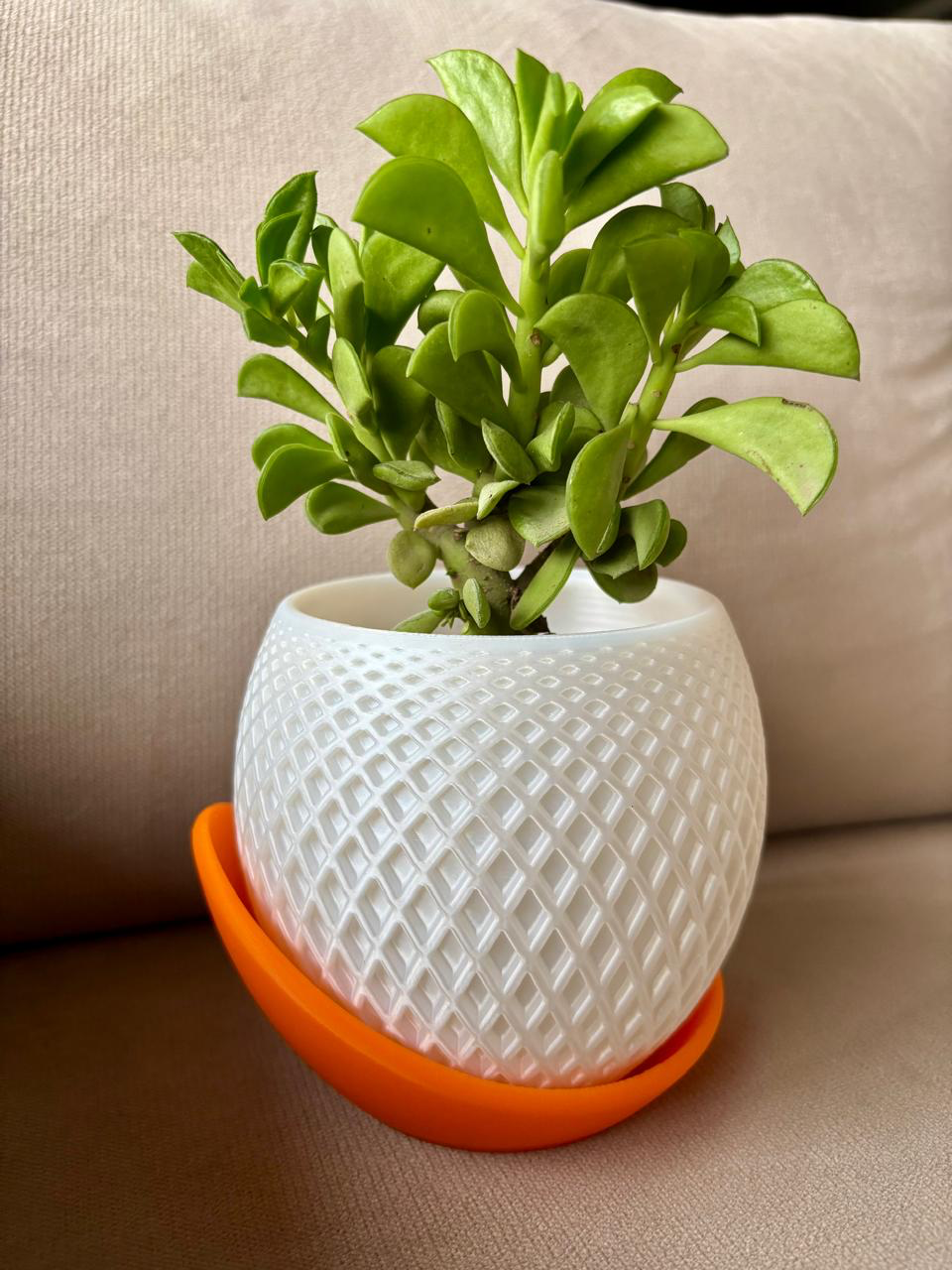 GeoGlow Succulent Planter – 3D Printed Elegance