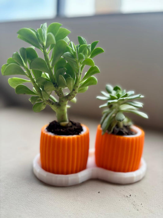 DuoBloom Planter Set – 3D Printed Twin Orange Pots with Base