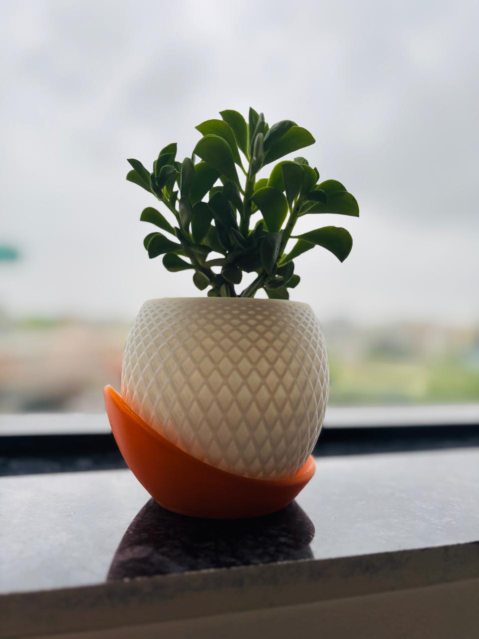 GeoGlow Succulent Planter – 3D Printed Elegance