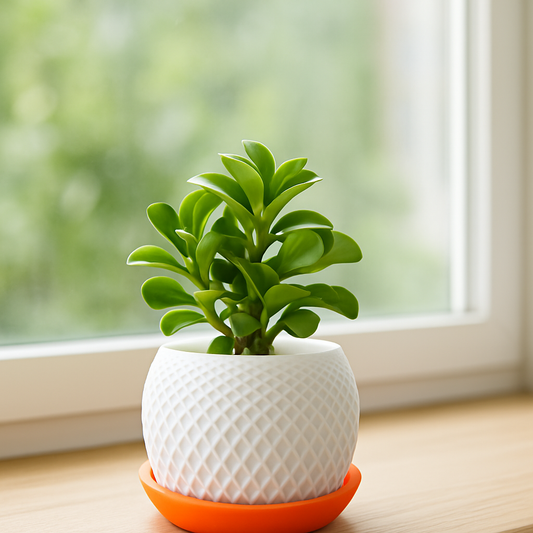 GeoGlow Succulent Planter – 3D Printed Elegance